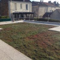 ecole-primaire-villeneuve-sur-bellot-toiture-terrasse-vegetalise-1