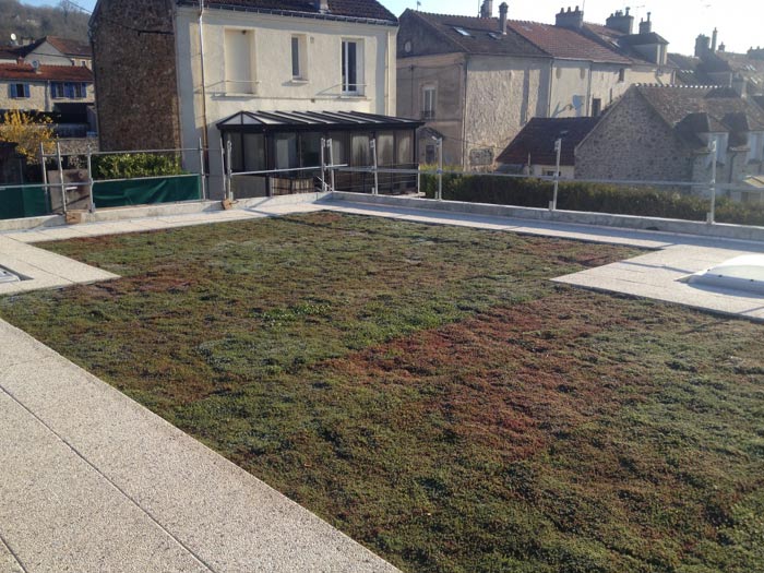 ecole-primaire-villeneuve-sur-bellot-toiture-terrasse-vegetalise-1