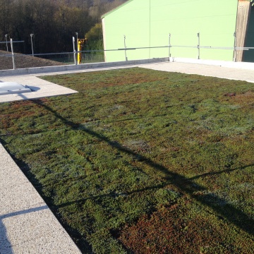 Toiture-terrasse végétalisée de l'école-primaire Villeneuve-sur-bellot